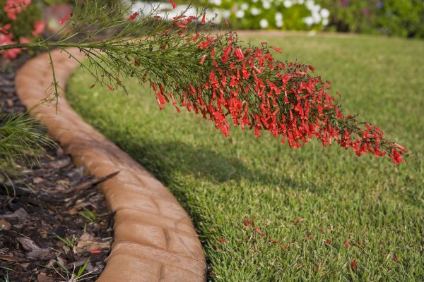 Brick Edging in Issaquah