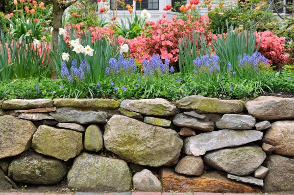 Garden Wall Installation in Issaquah