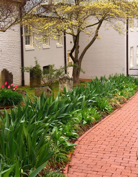 Brick Flatwork Repair in Issaquah